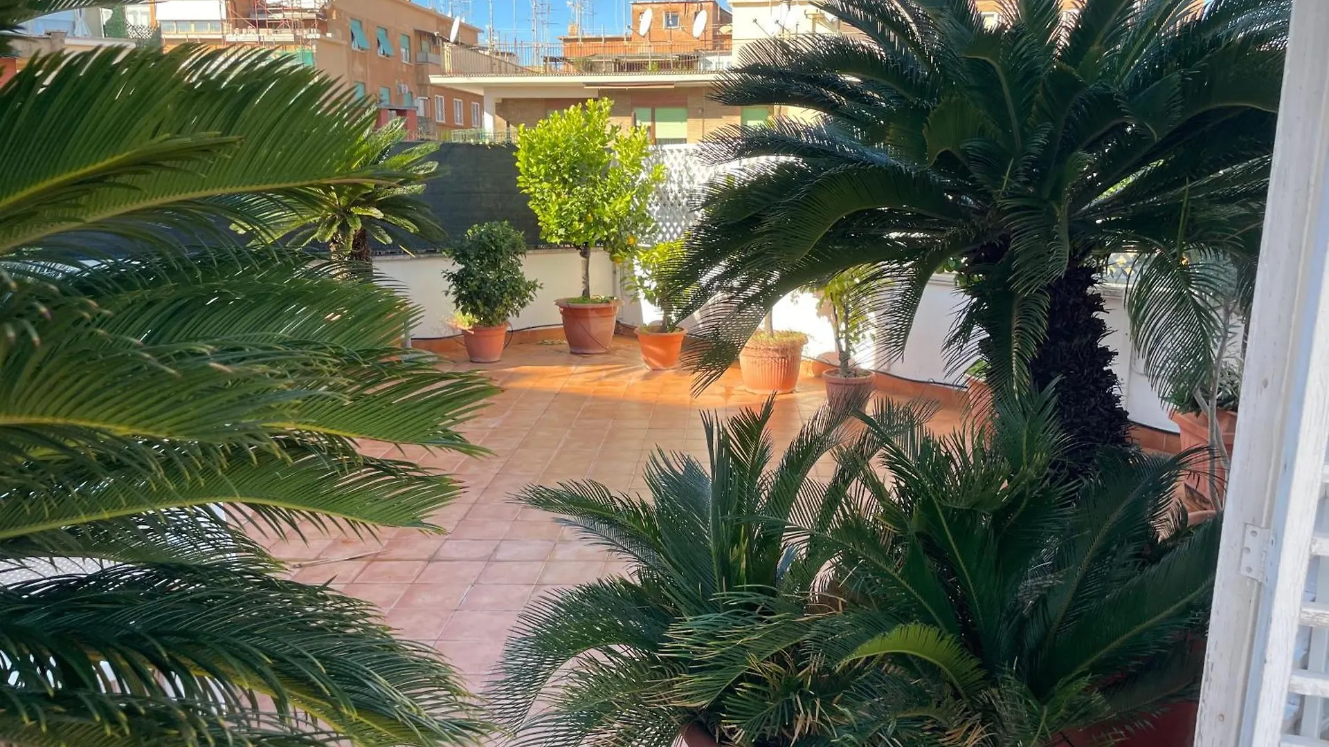 Oasi Urbana - The Vatican Roof Garden Rome